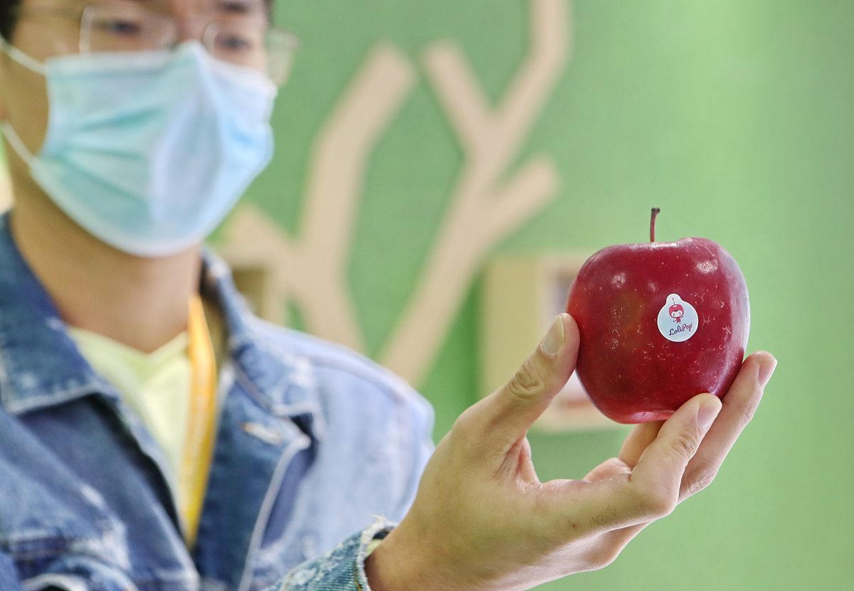 我需要你作为一名SEO帮助我把对应的关键词变为包含多个需求且吸引人的SEO长标题但要注意长标题不可以是疑问句以下是内容：冻胚移植后能不能吃苹果
