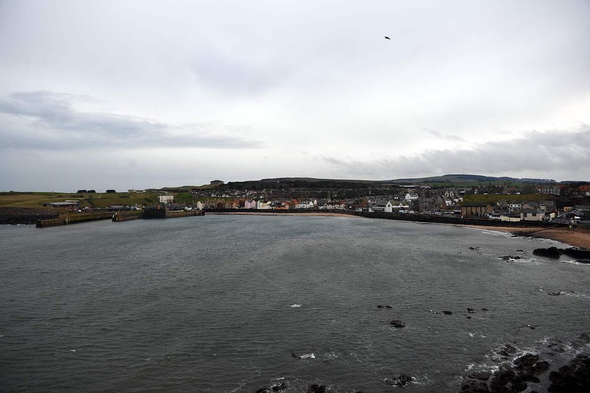 Negotiating Carrier Liability: The Impact of Perishable Cargo Deterioration