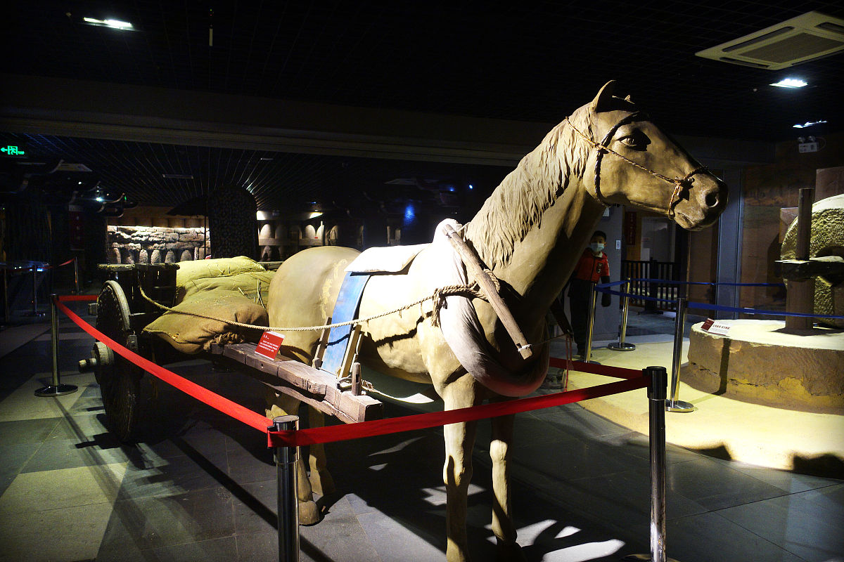 滕州高级职业学校2021年招生条件 - 详细解读