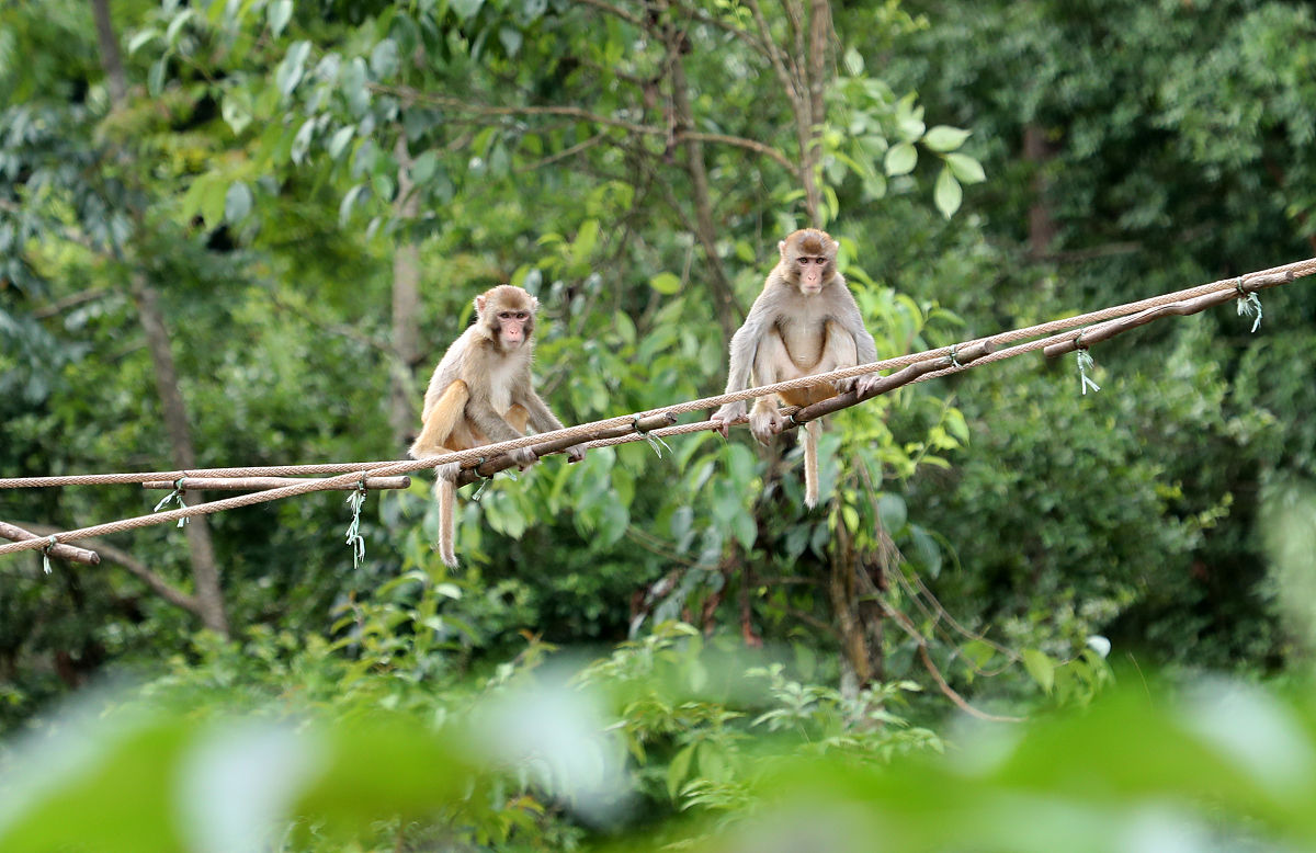水木年华：回归自然，寻找内心宁静