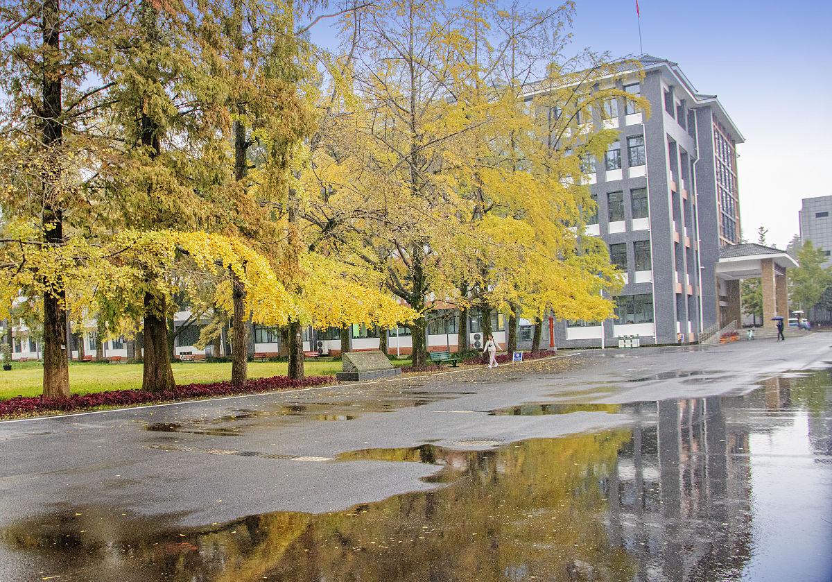 四川农大都江堰分校教育学专业招生要求