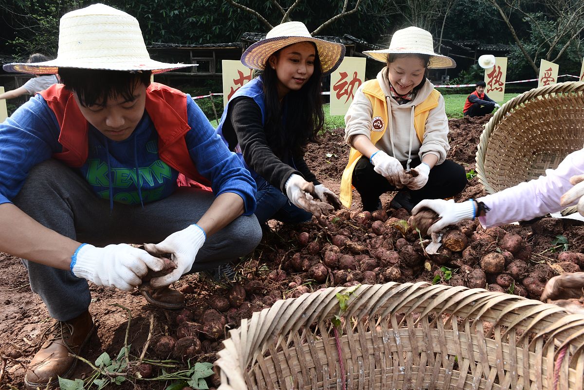 2020年重庆交通职业学院建设工程管理专业招生