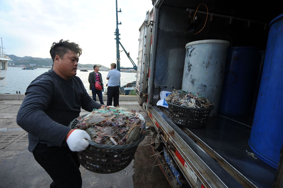 2017年<strong>9</strong>月27日,海鲜批发从业者在青岛市中心渔港码头将螃蟹过磅装运到