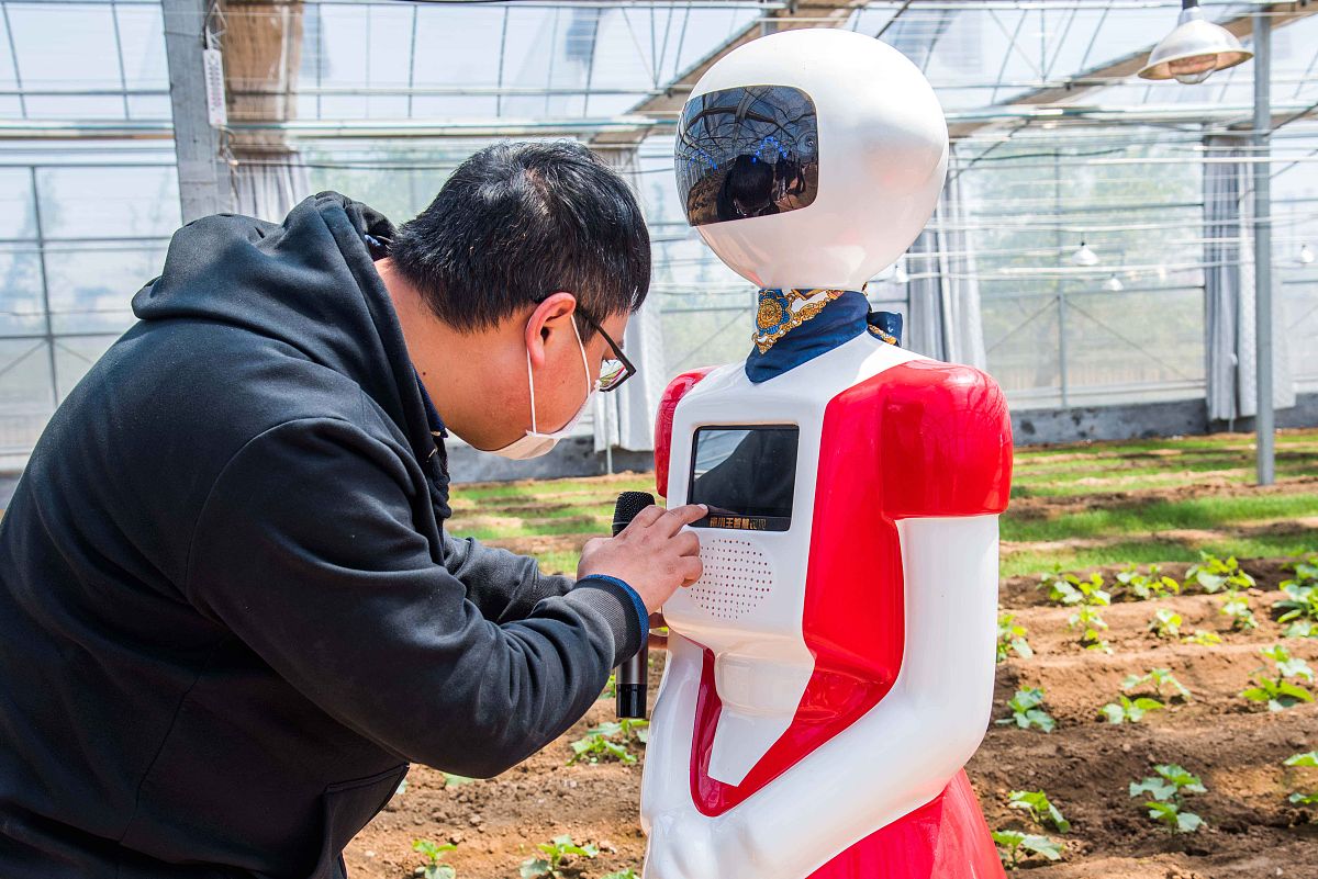 补料控制方法与方式有哪些