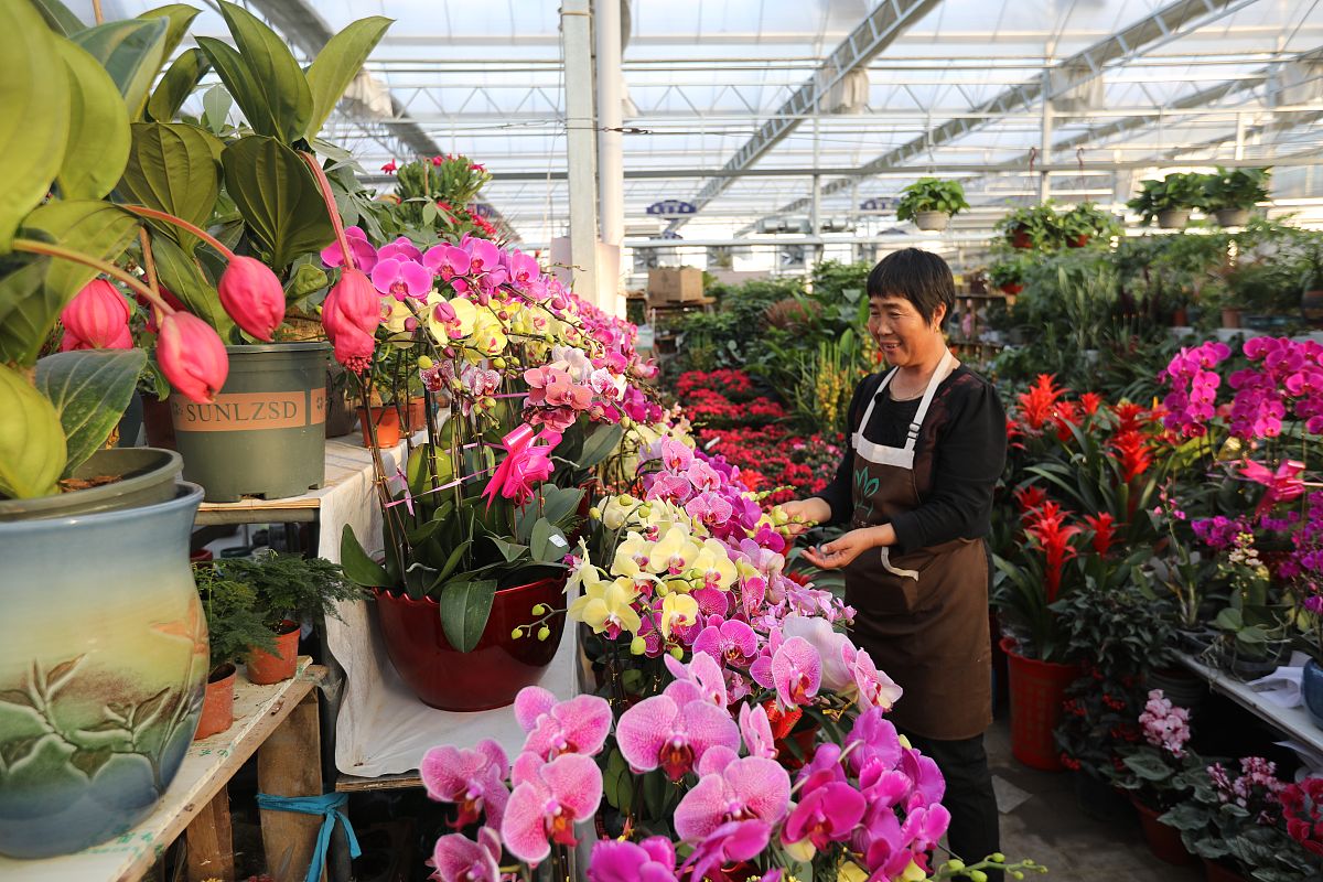 四川时代花木职业学校2022年招生简章 - 花卉产业人才培养基地