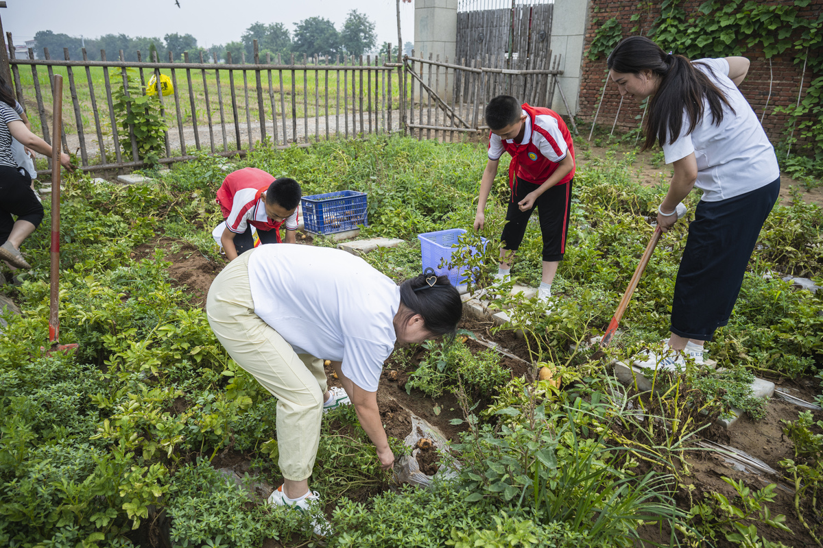 三下乡社会实践学生角色：观察者、参与者、学习者