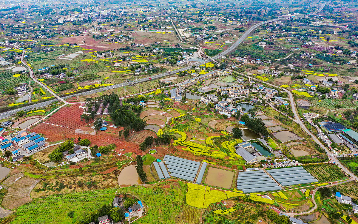 武胜县一力中等职业学校2020年春季招生简章