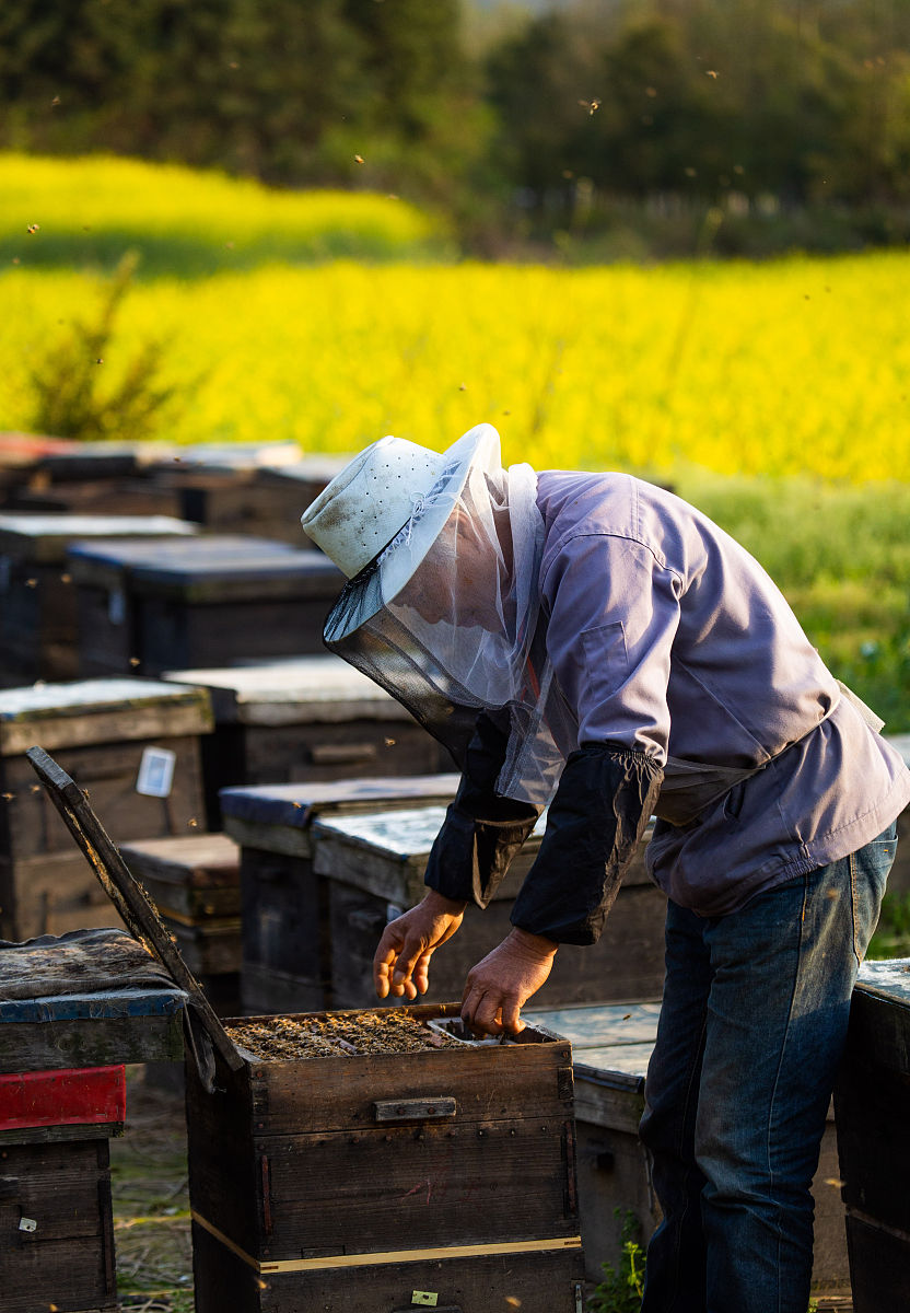 2023年都昌县职业技术学校招生简章 -  培养你的技能，成就你的未来