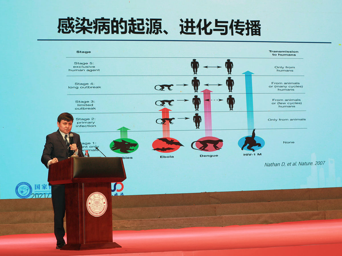 大学生回校演讲PPT：分享经历，展望未来
