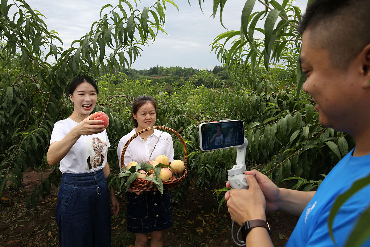 四川内江机电施工总承包二级资质新办&转让：价格、条件详解