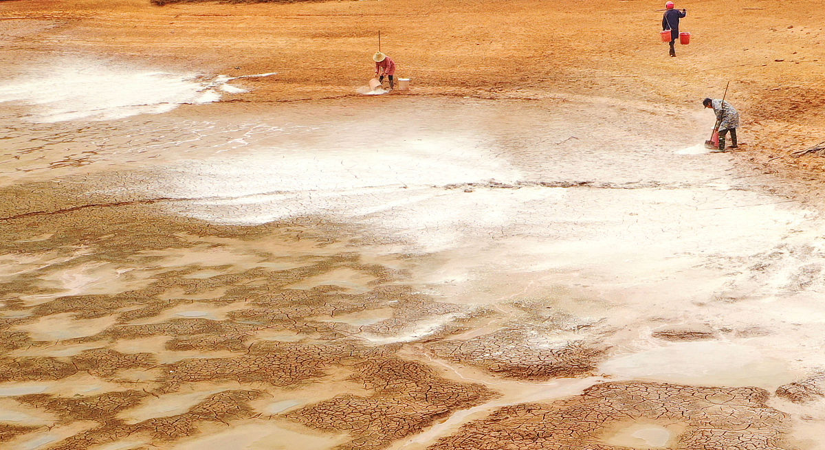 2014年兰州自来水苯超标事件安检局的态度和处理办法