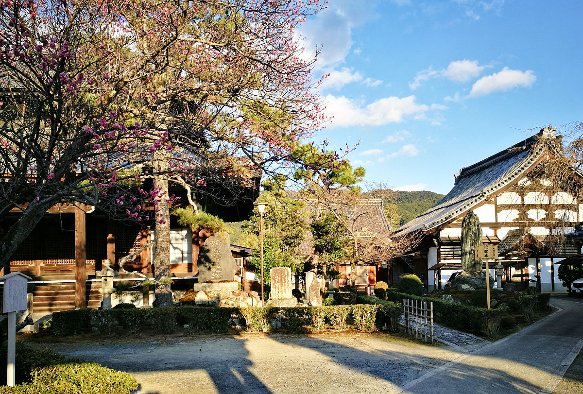 以日本文化的美学之旅：传统与现代的融合为题写一篇1200字文章