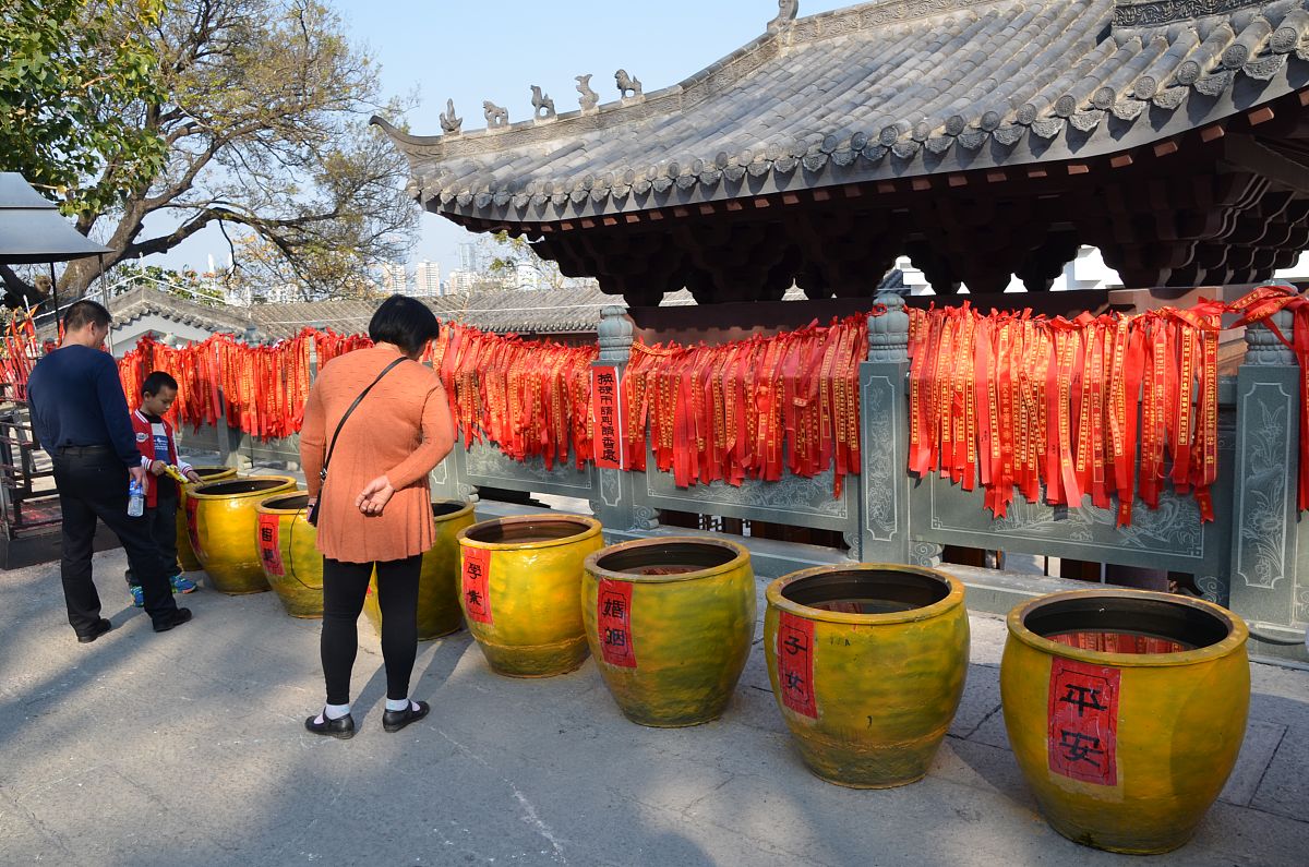 广东惠州旅游学校2022年开设了什么专业