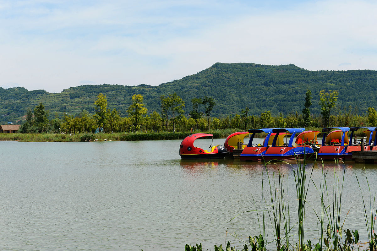 污水处理方法对比：物理法、化学法、湿地法和生物法