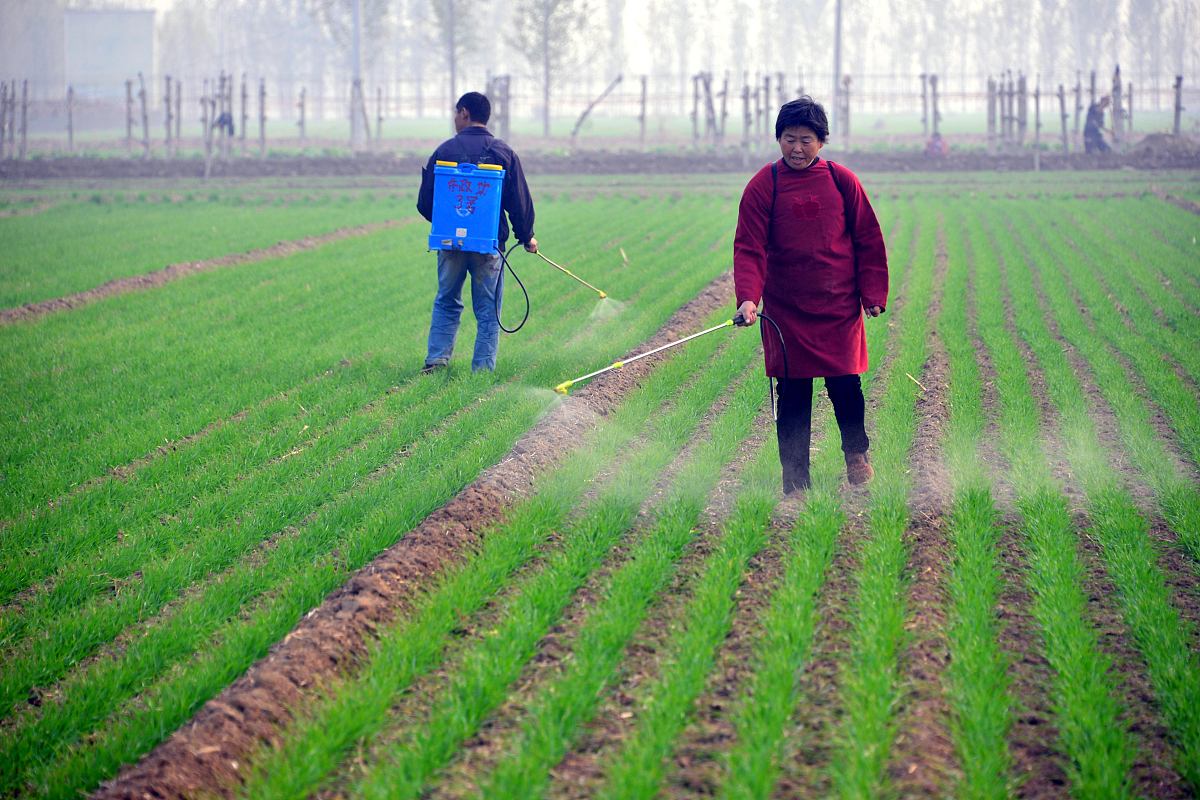 以原卟啉原氧化酶为作用靶标可用于小麦、水稻、玉米等作物杂草的防治具有高效安全、不易产生抗性的特点。