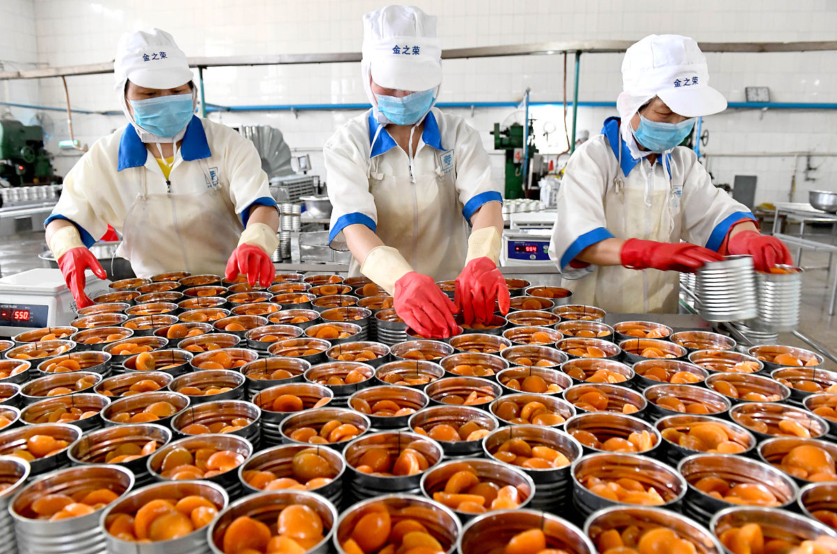 请帮我写一份酱腌菜工厂的创业方案大纲