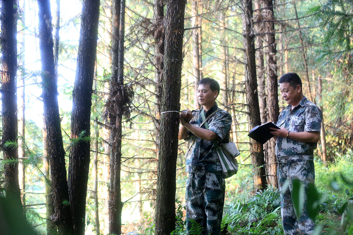 江西工程职业学院会计专业就业前景分析 - 好就业吗？