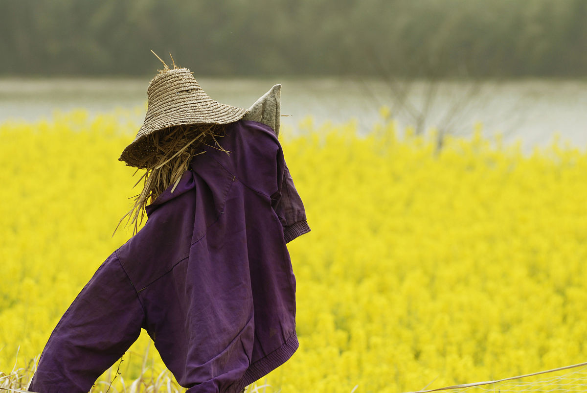 辽宁生态工程职业学院2022年招生计划及专业设置