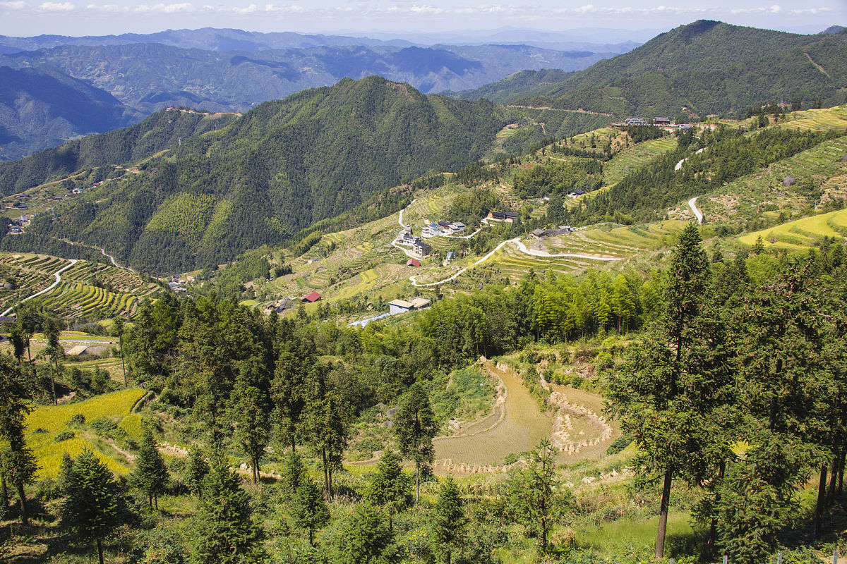 怀化卫校录取分数线及招生条件 - 怀化市卫生学校