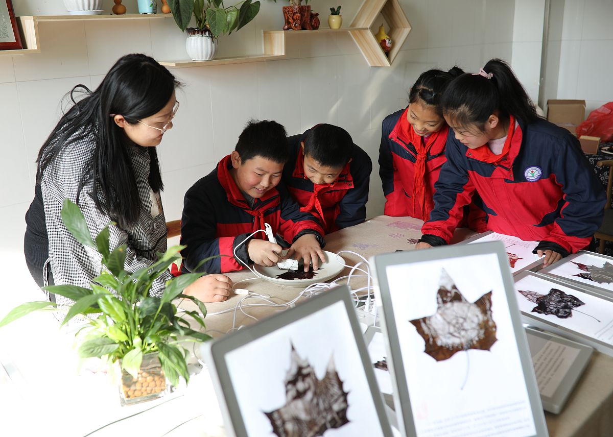 2020山东省日照师范学校招生专业及相关信息