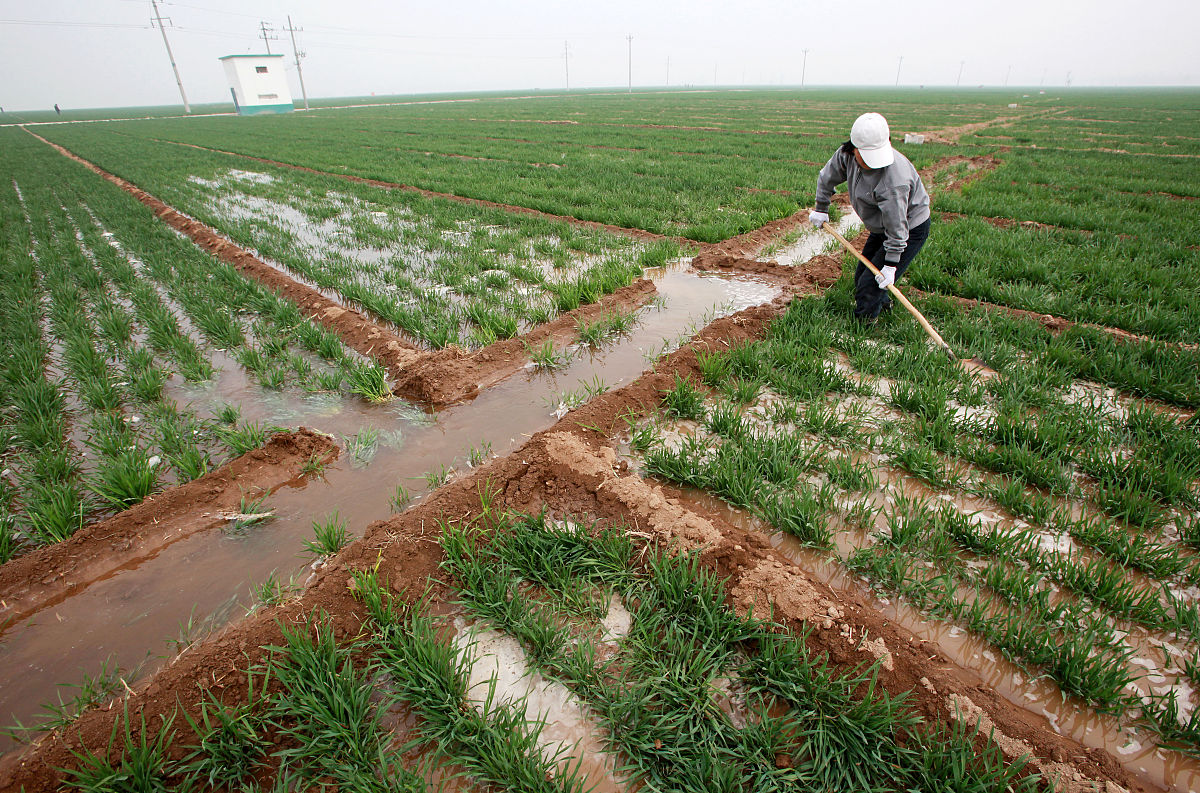 河南农业职业学院计算机网络技术专业课程介绍：学什么？