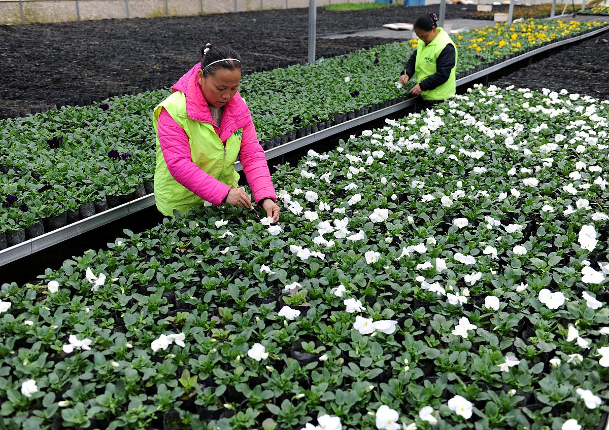 贵州现代经济学校招生简章 - 培养现代经济学人才