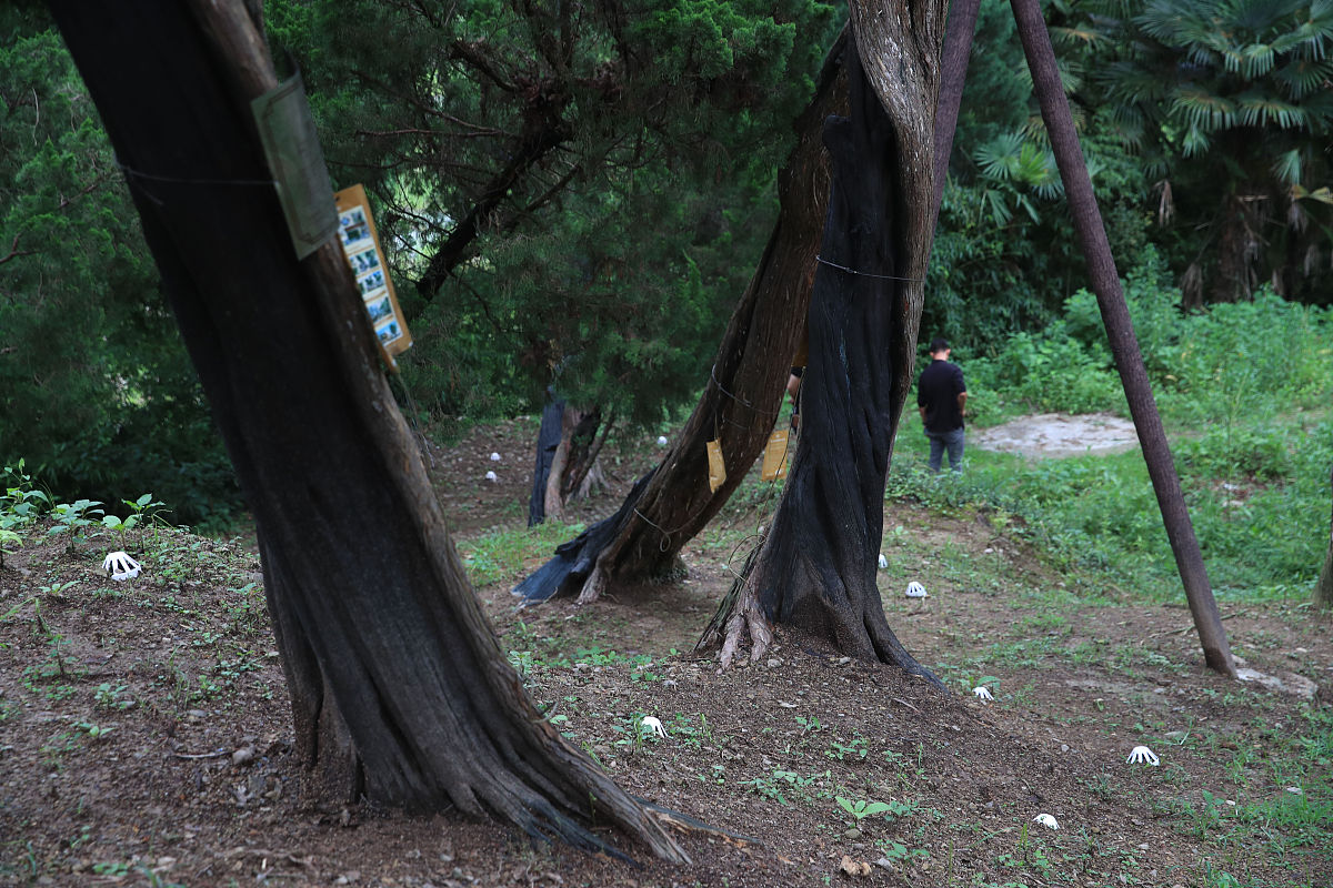 宁海技工学校联系电话：招生办、教务处等部门电话查询