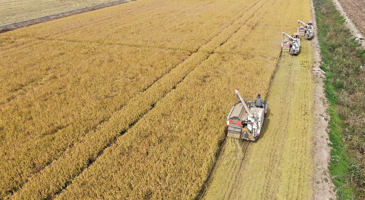 延边职业技术学院生态农业技术专业专业可以选择哪些就业方向