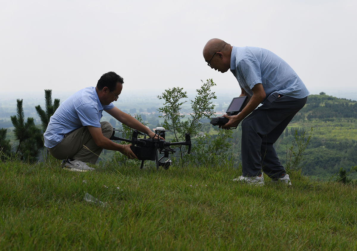 我国害虫识别存在的问题