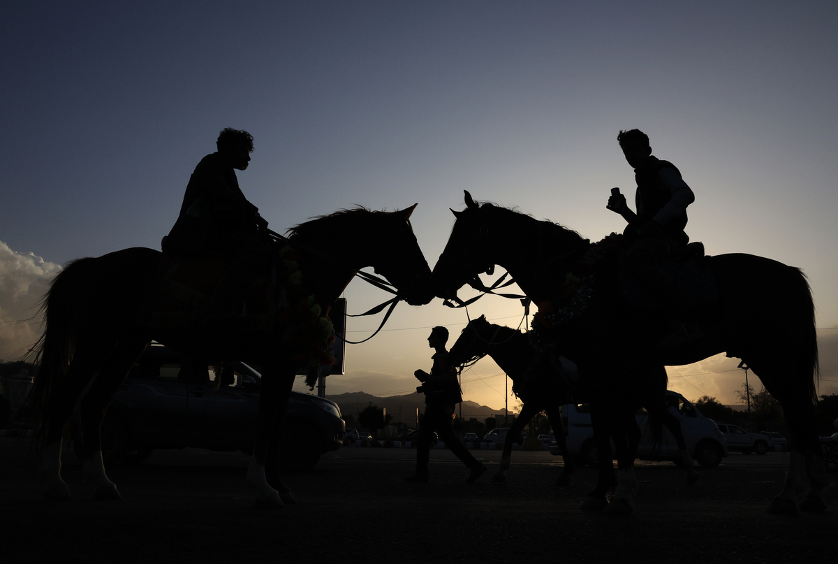 总结文段的研究目的、内容、方法、成果和结论：马术是一项古老的运动在人类的历史进程中有着重要的意义。拍摄新疆的原生态马术文化和广州的英式马术俱乐部文化作对比一是让大众分清彼此并且起到科普的作用二是通过对比来体现两者的差异化与双方面临的问题。以真实为核心采用两个角度来领大家了解中国的马术文化加深大众对马术的了解拉近马术与大众的距离。让大众对马术这项古老的运动有更深的了解拉近马术运动和大众的距离。历史遗