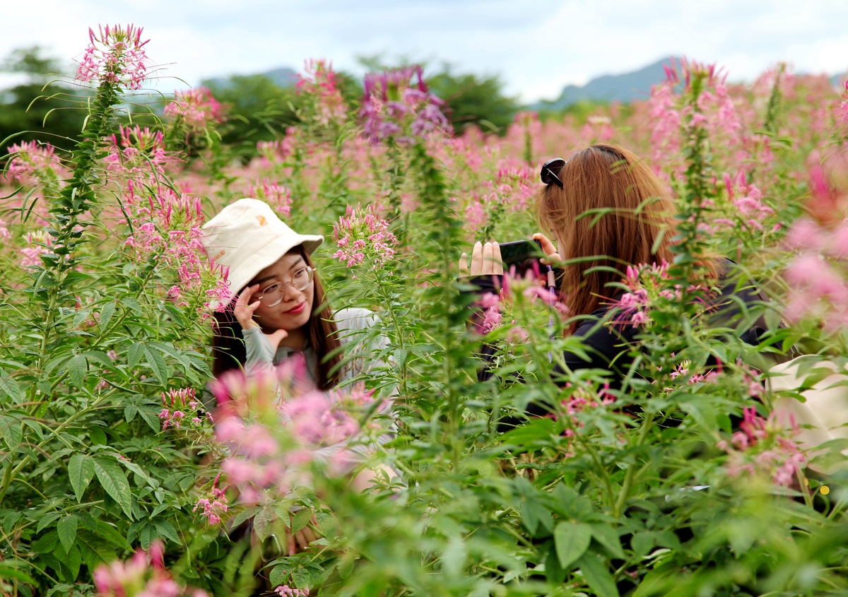 踏青赏花，感受春天的美好与活力