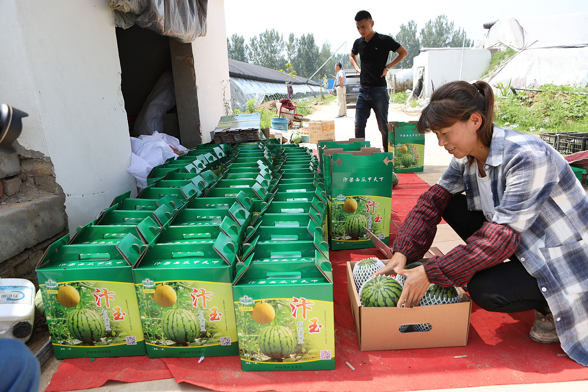 论述果蔬贮运害虫管理中的可持续性和环境影响。