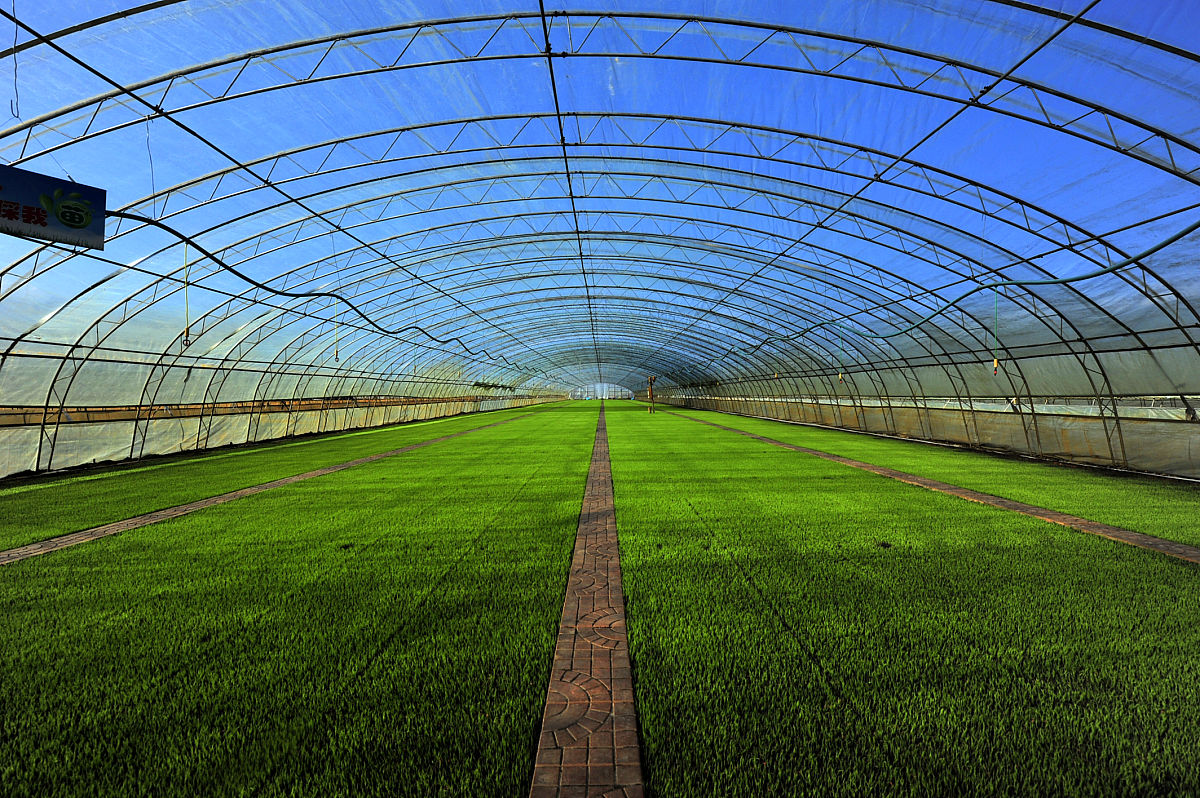 四川省档案学校设施农业生产技术专业好不好发展前景怎样