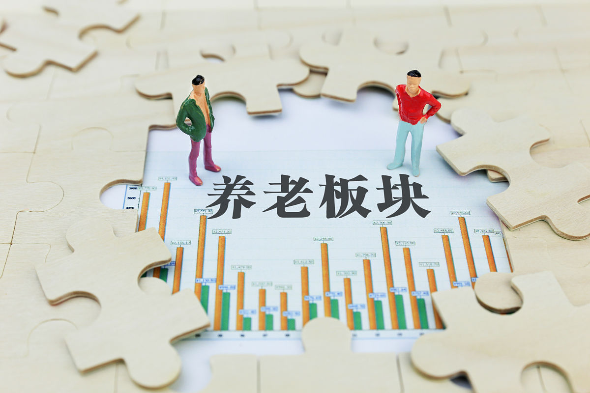 多元供给，提升基本养老服务能力