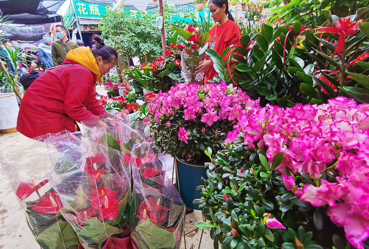 南宁花卉市场：购买鲜花、绿植的最佳去处