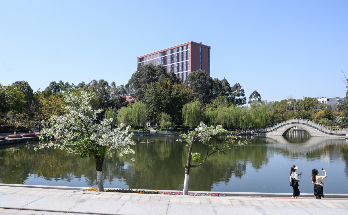 云南中医学院揭秘:春城昆明,四大医学瑰宝