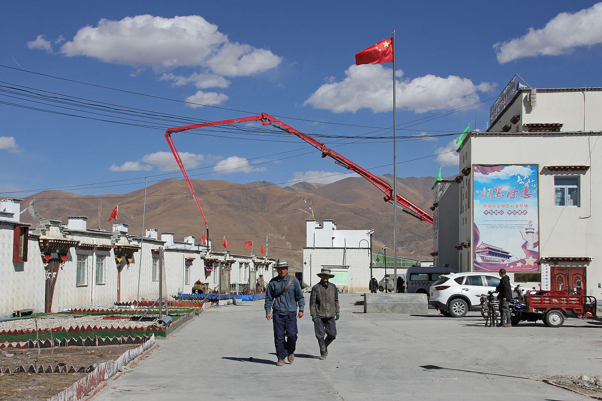 中蒙药治疗风湿类风湿关节炎：疗效、安全性和作用机制研究