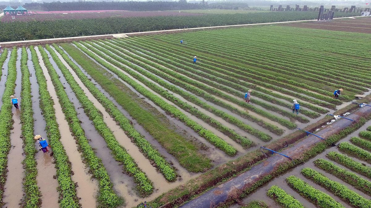 临洮农业学校2021年开设了什么专业