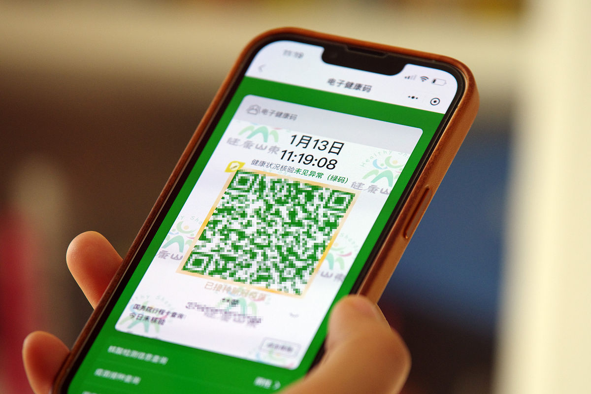 坐飞机绿码申请指南：详细步骤及注意事项