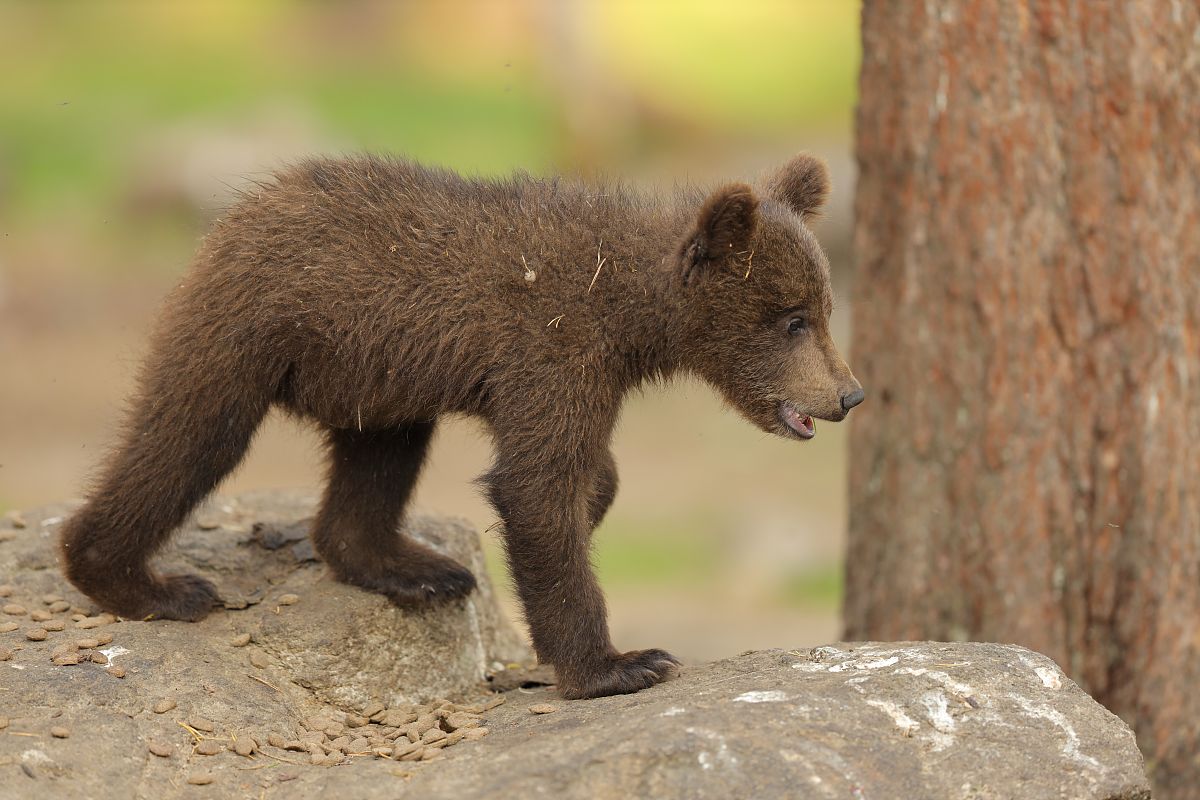 chatgptHello! How may I assist you today作为知心大姐有人心情不好该如何劝解