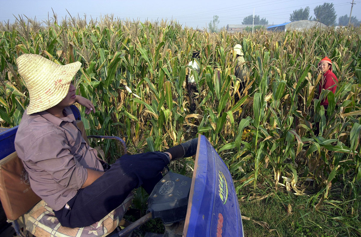 论述马鞍山地区旱作玉米生产现状及增产途径研究的研究意义写成一段话不少于300字。