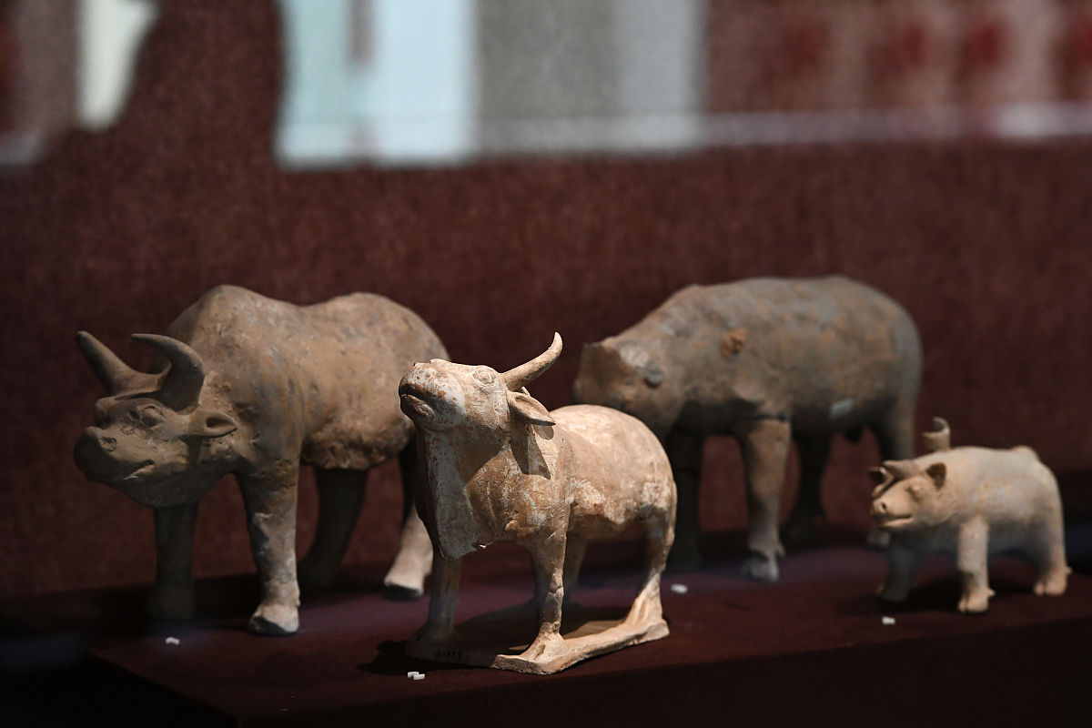 古代中国中原地区有犀牛吗？历史文献揭秘