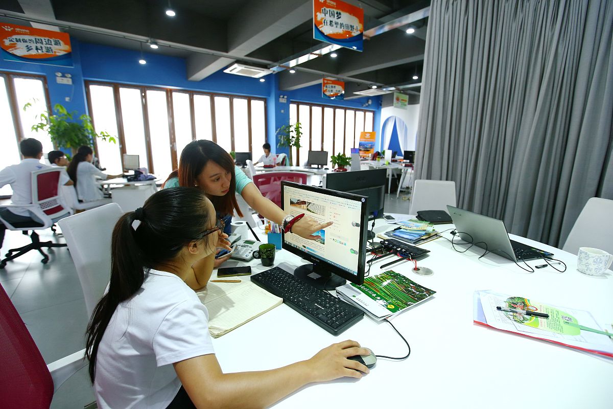 沧海网络技术工作室：专业网络技术服务与软件开发专家