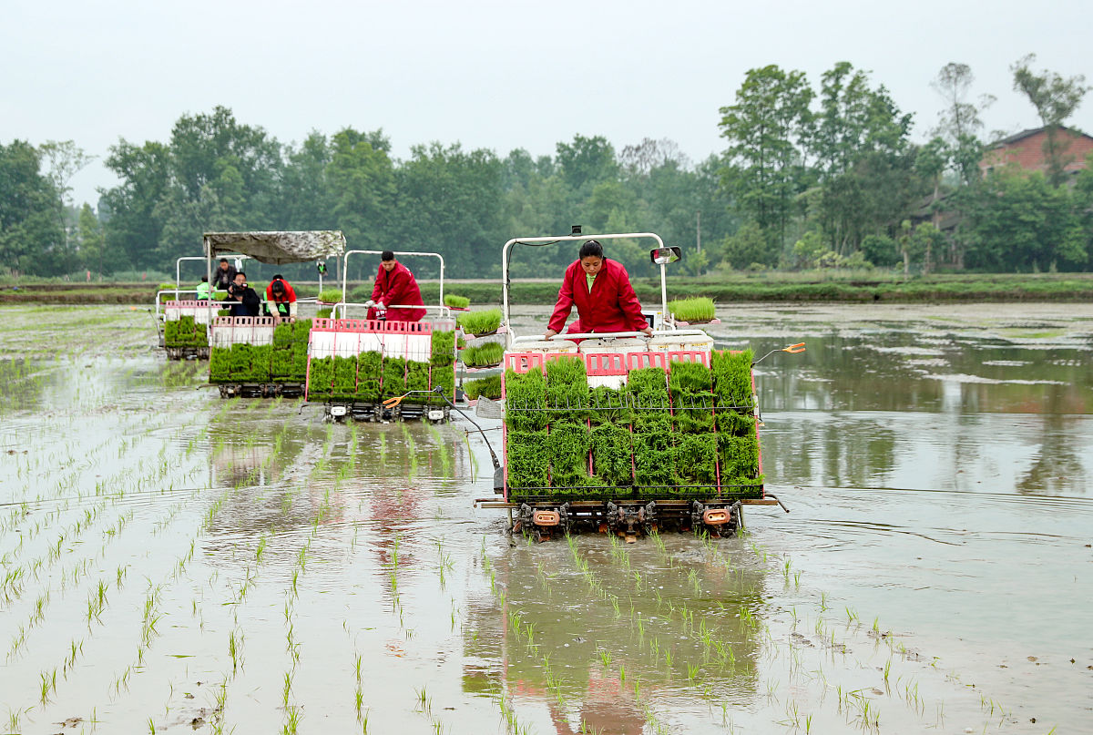 四川中医药高等专科学校各专业就业怎么样