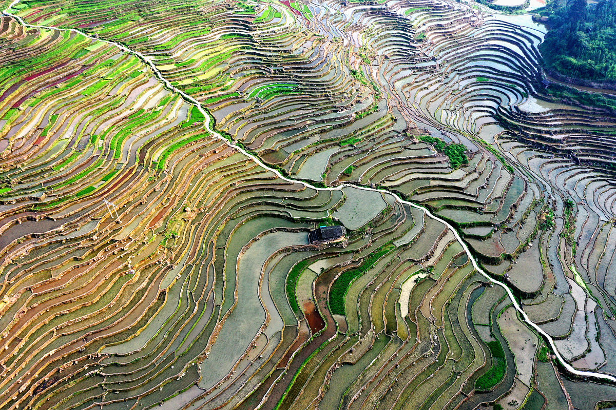 贵州2023年中专和高中哪个更适合你？