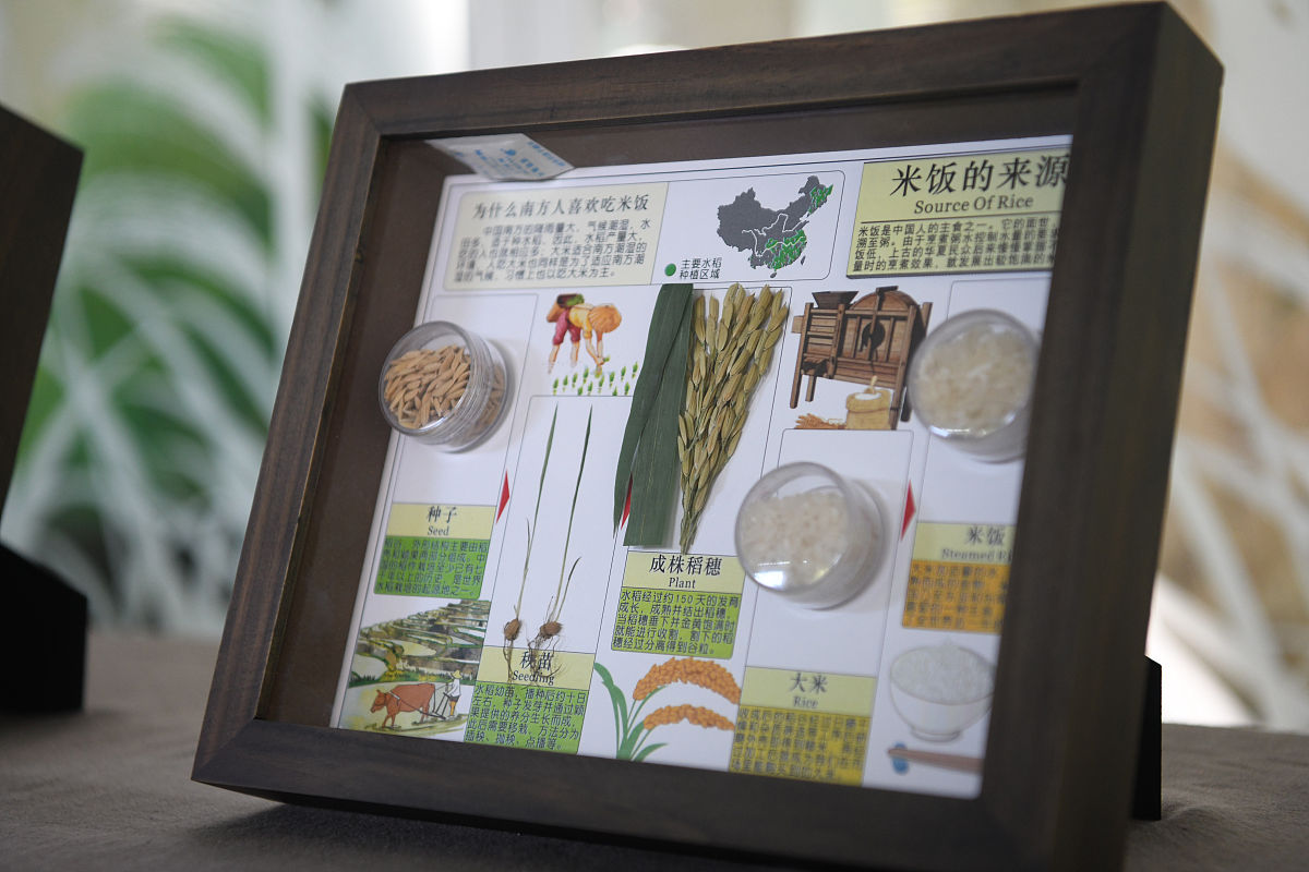 中国地质大学（武汉）学院航空专业招生简章 - 培养航空工程人才