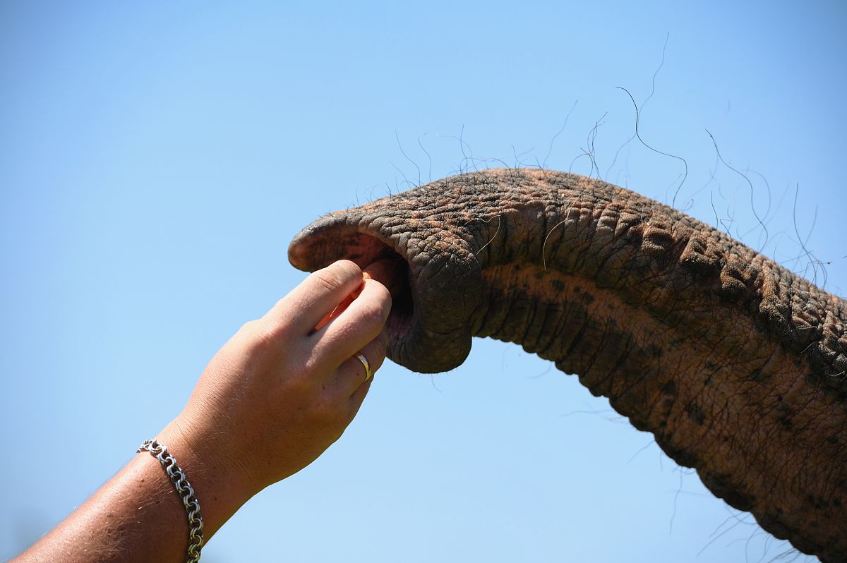 桐乡卫生学校2021年新增专业解读：中医诊断学、康复治疗学、健康管理学