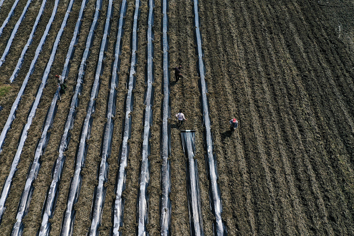 重庆市农业机械化学校专业设置及未来发展方向