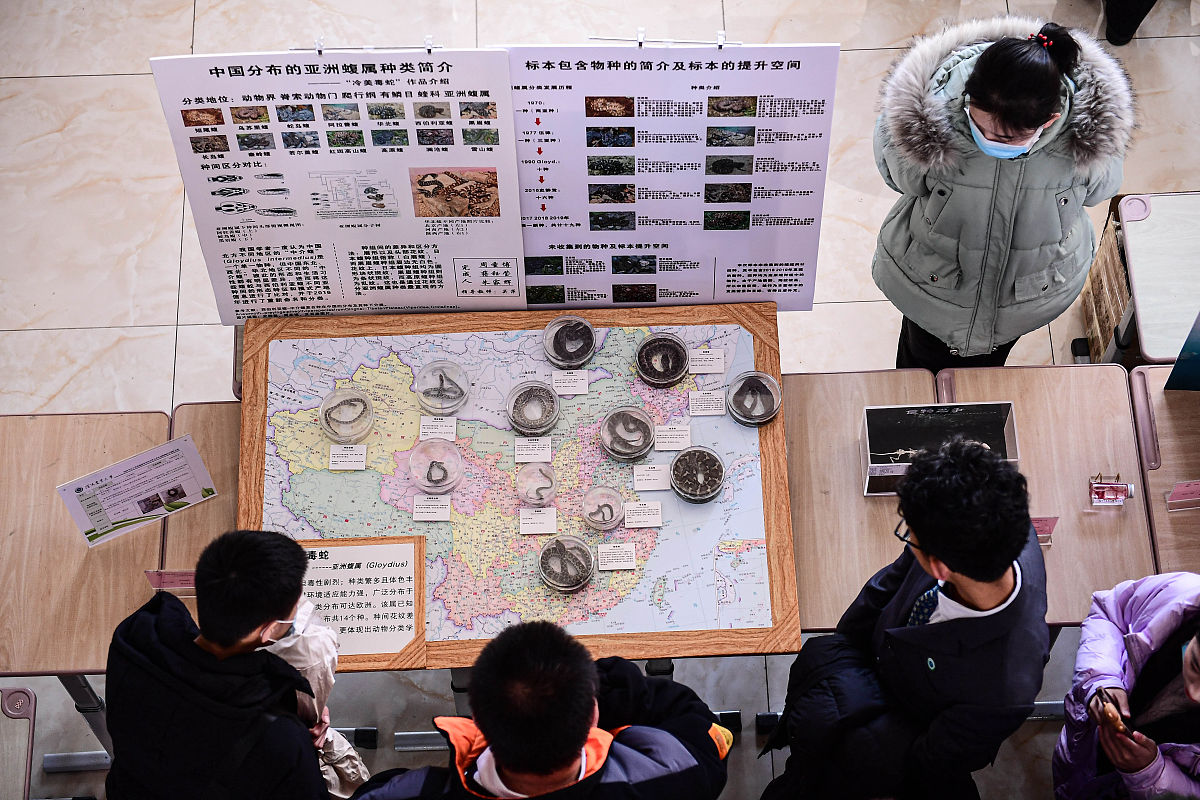 重庆中意职业技术学校2020招生简章