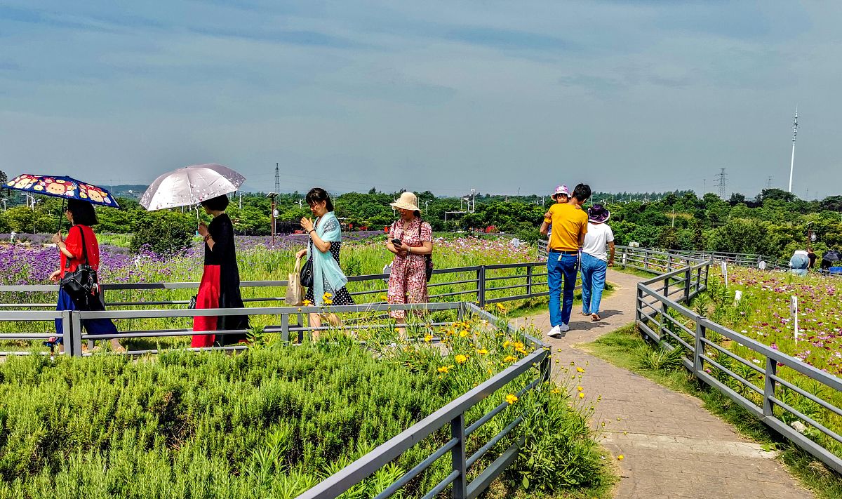 杭州万向职业技术学院观光农业专业怎么样